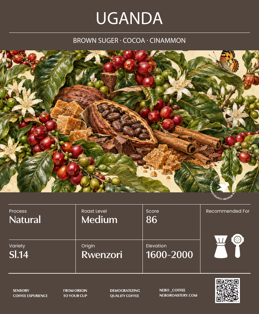 Uganda - Nebo specialty coffee Roastery
