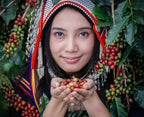 COLOMBIA JAVA - Nebo specialty coffee Roastery