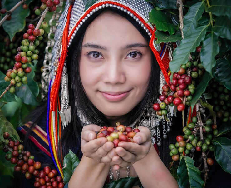 COLOMBIA JAVA - Nebo specialty coffee Roastery