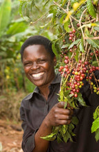 YIRGACHEFFE - Nebo specialty coffee Roastery