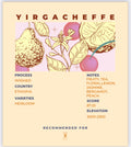 YIRGACHEFFE - Nebo specialty coffee Roastery