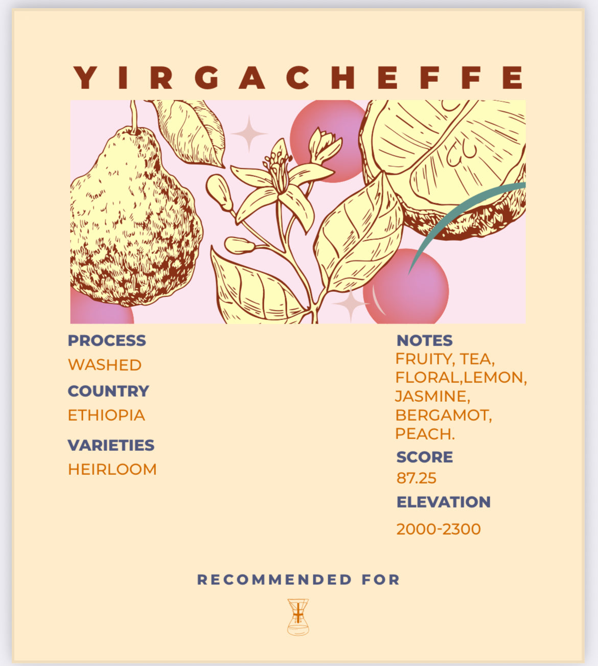 YIRGACHEFFE - Nebo specialty coffee Roastery