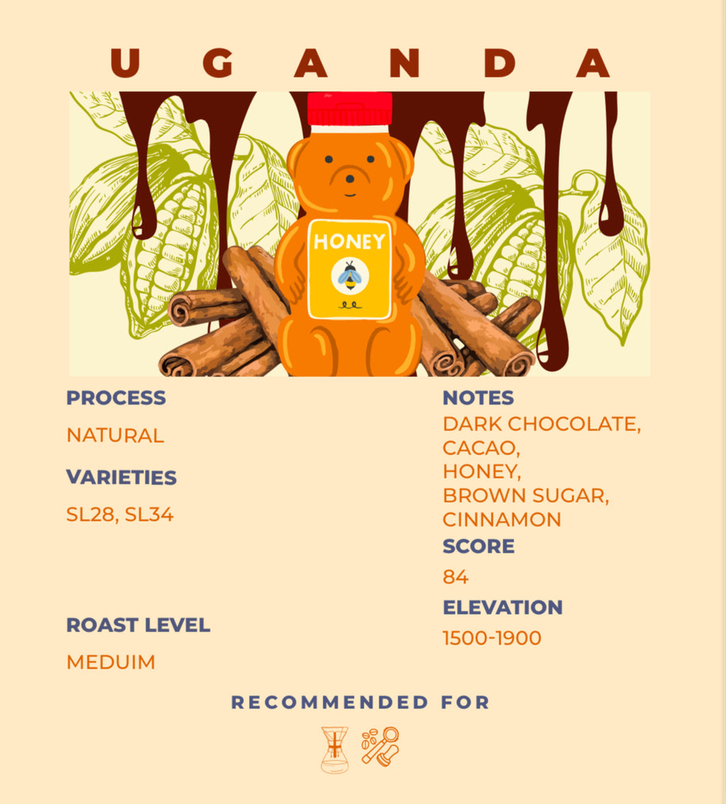 Uganda - Nebo specialty coffee Roastery