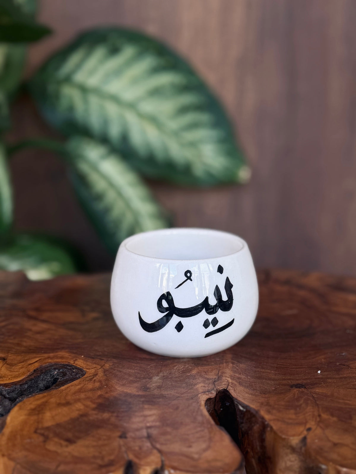 Nebo Cup - Nebo specialty coffee Roastery