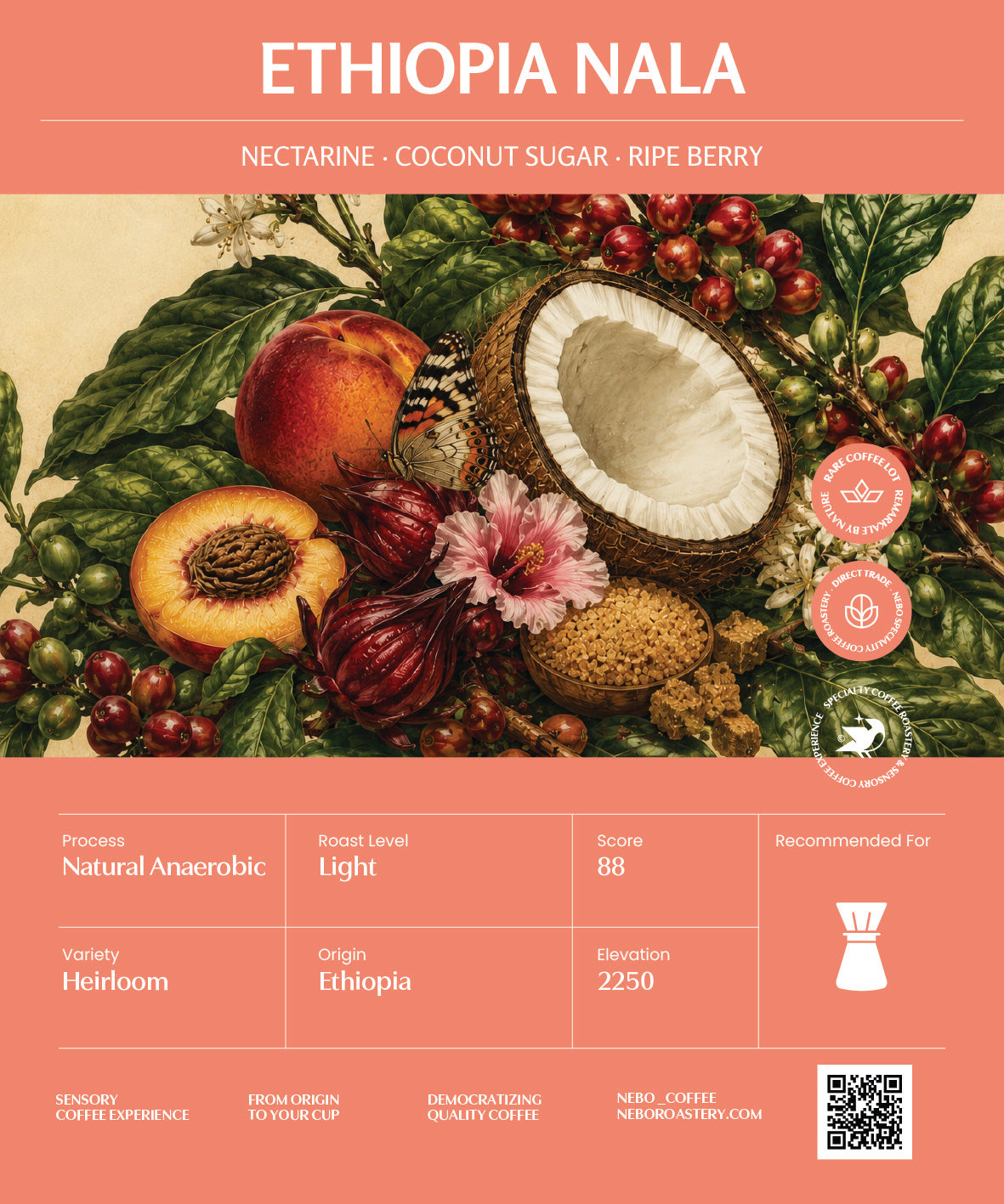 Ethiopia Nala - Nebo specialty coffee Roastery