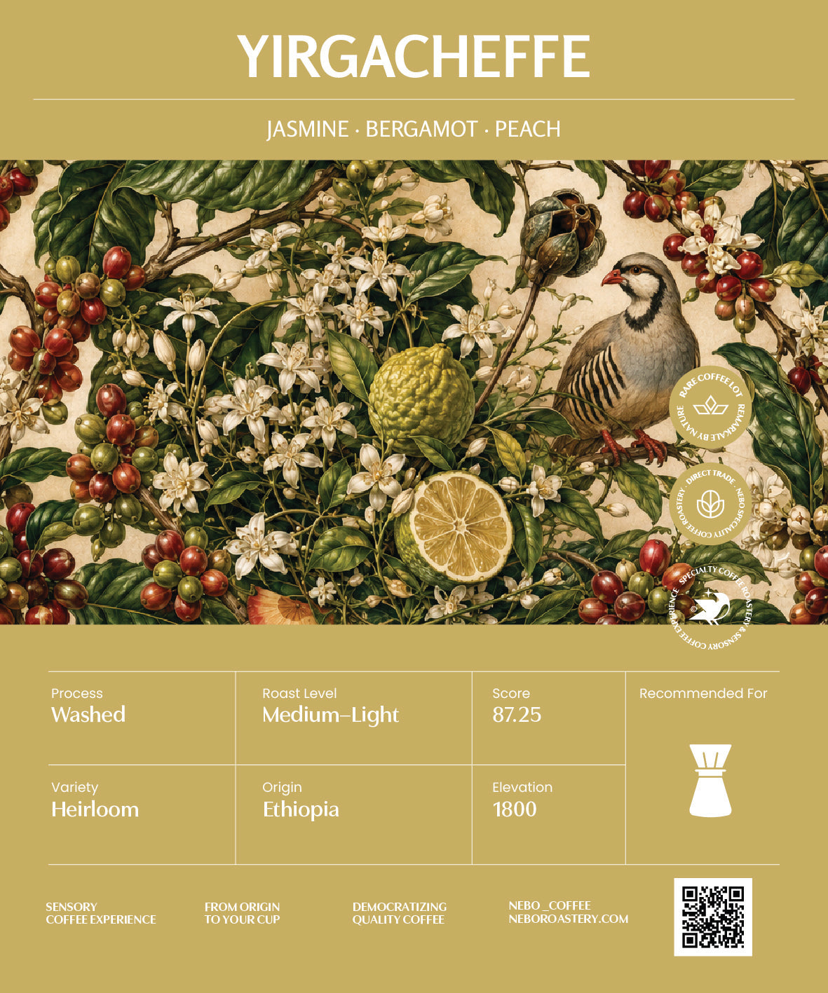YIRGACHEFFE - Nebo specialty coffee Roastery