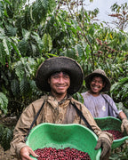 LA ROSITA – Colombia - Nebo specialty coffee Roastery