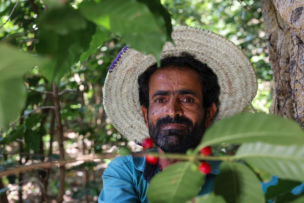YAMEN HOZAN - Nebo specialty coffee Roastery