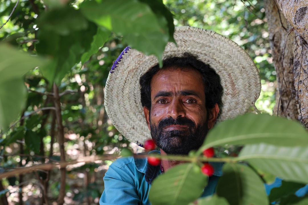 YAMEN HOZAN - Nebo specialty coffee Roastery