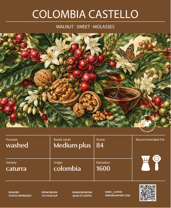 Colombia Castillo Washed - Nebo specialty coffee Roastery