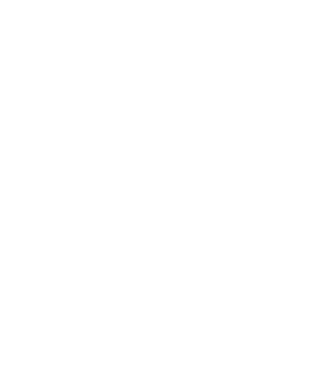 Nebo Specialty Coffee Roastery