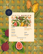 santa monica-colombia - Nebo specialty coffee Roastery