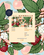 Guji hambella - Nebo specialty coffee Roastery