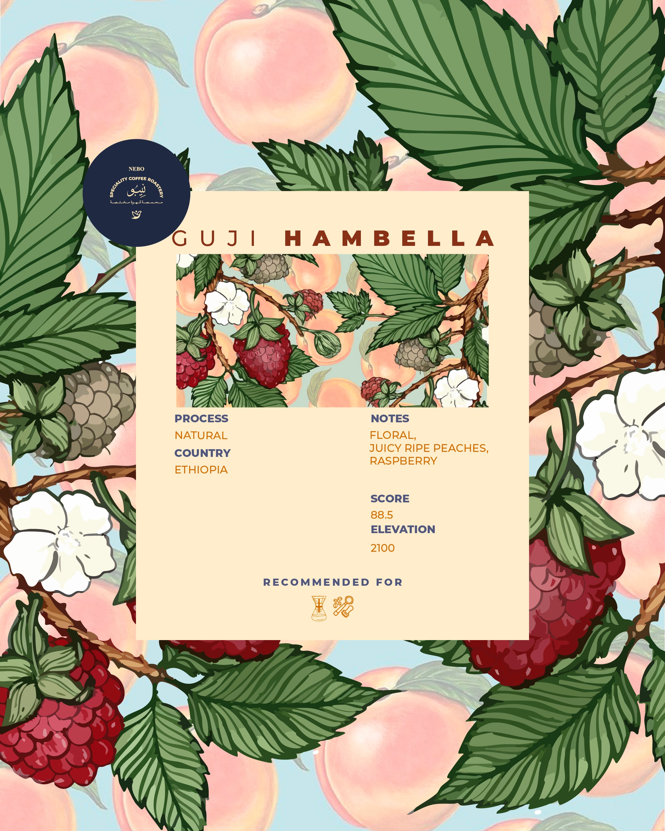 Guji hambella - Nebo specialty coffee Roastery