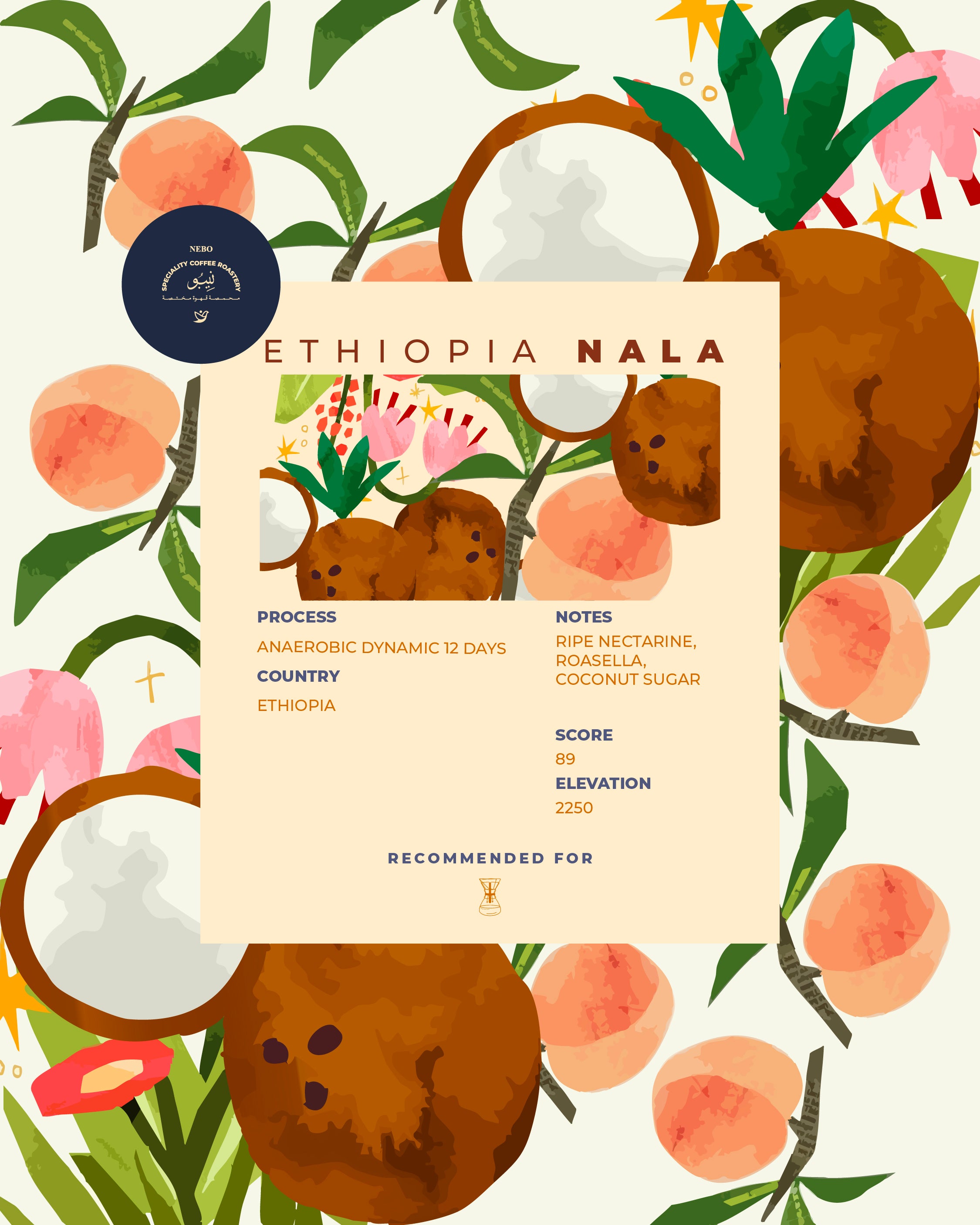 Ethiopia Nala - Nebo specialty coffee Roastery