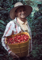Guji hambella - Nebo specialty coffee Roastery