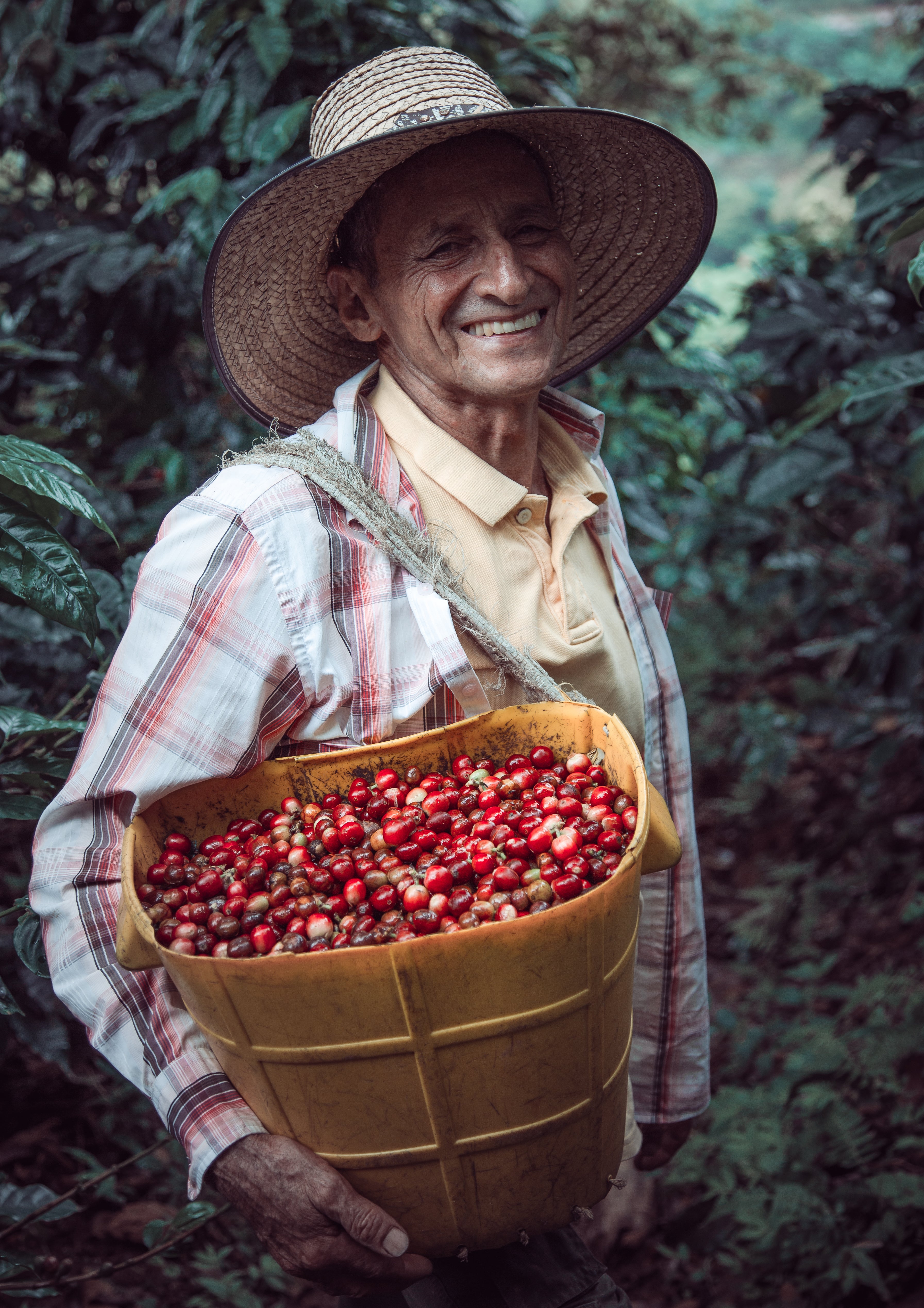 Guji hambella - Nebo specialty coffee Roastery